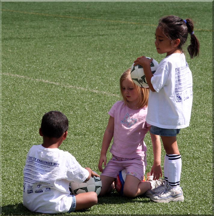 webcompR_20080723_066